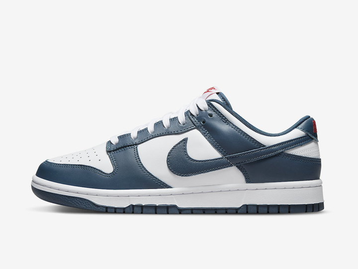 Timeless Nike Dunk sneakers in a classic blue and white colour scheme.
